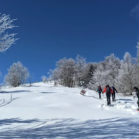 La Grange De La Petite Ourse *